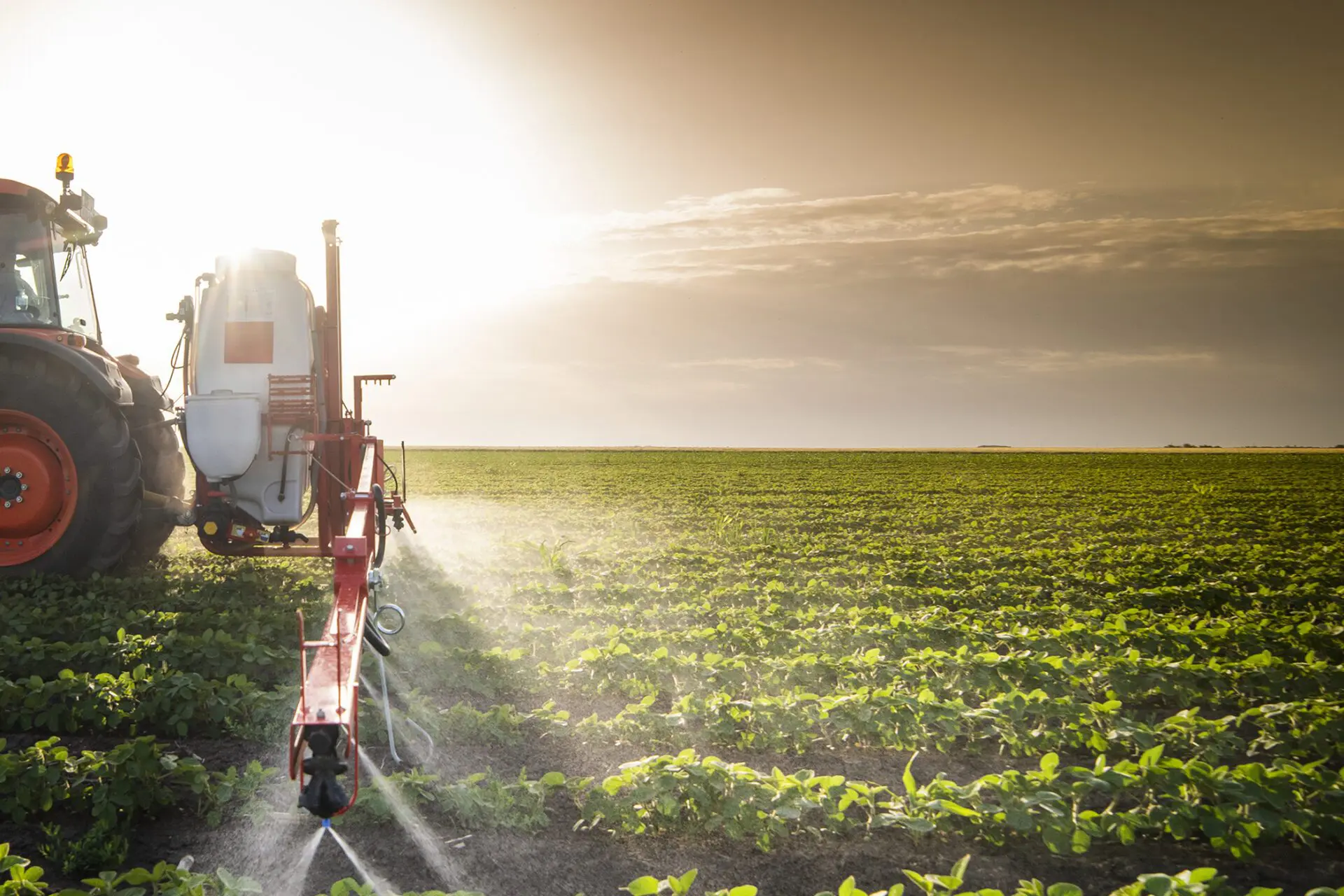 Tractor spraying pesticides on soy field  with sprayer at spring